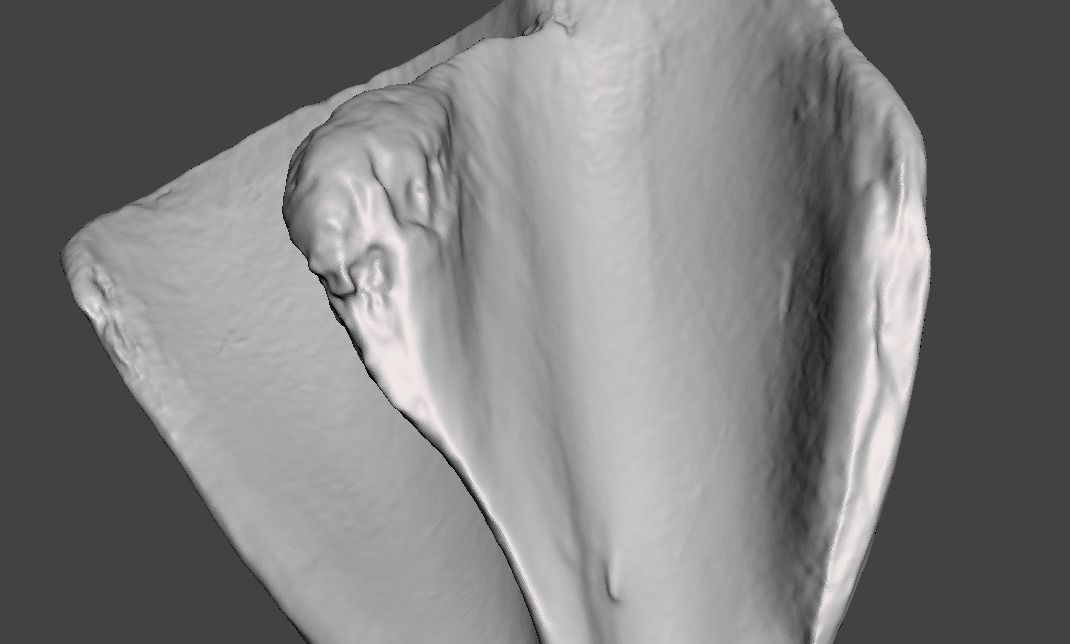 Pig scapula 3D model_5