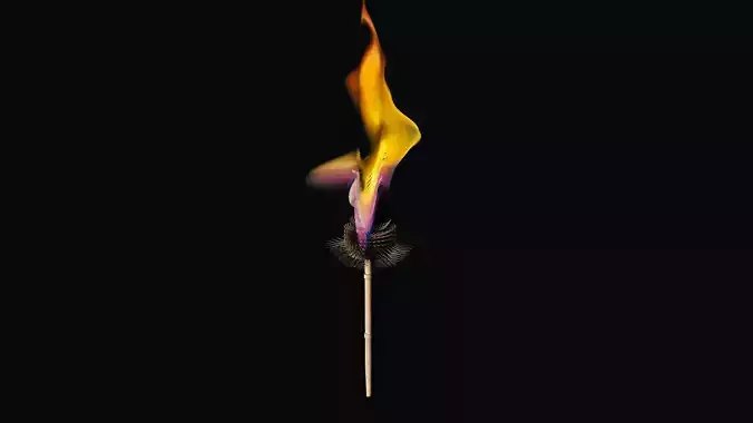 Torch fire on stick