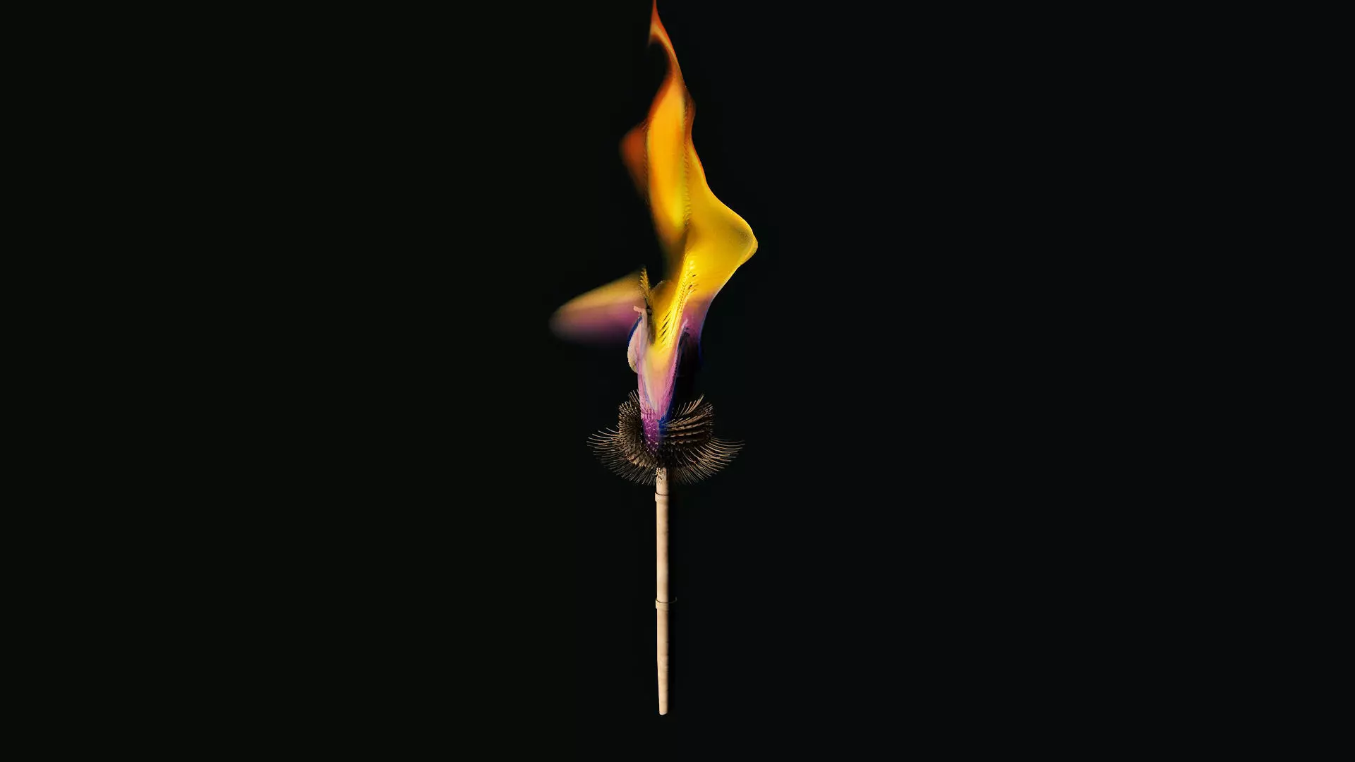 Torch fire on stick 3D model