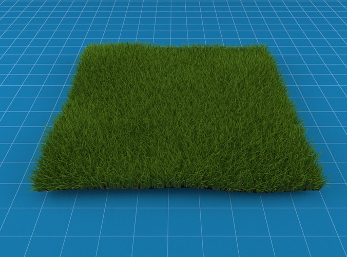 Vray Grass 3D Model MAX