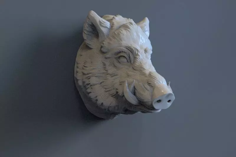 Boar Head 3D print model_0