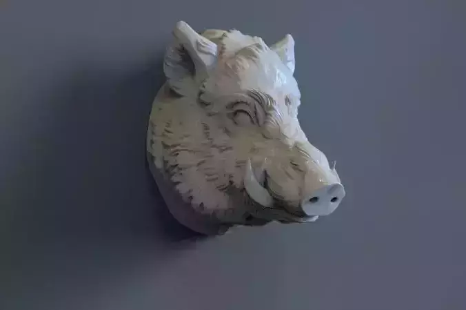 Boar Head 3D print model