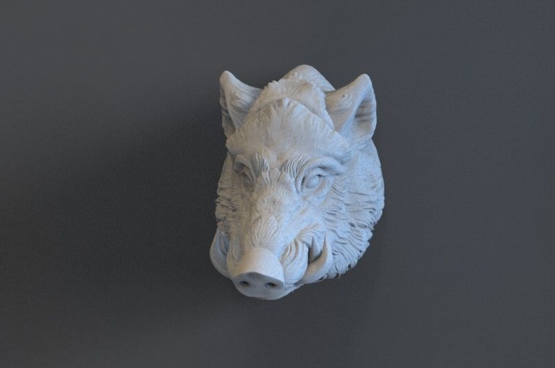 Boar Head 3D print model_11