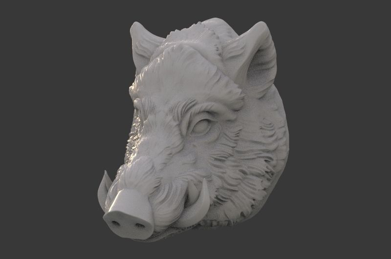 Boar Head 3D print model_9