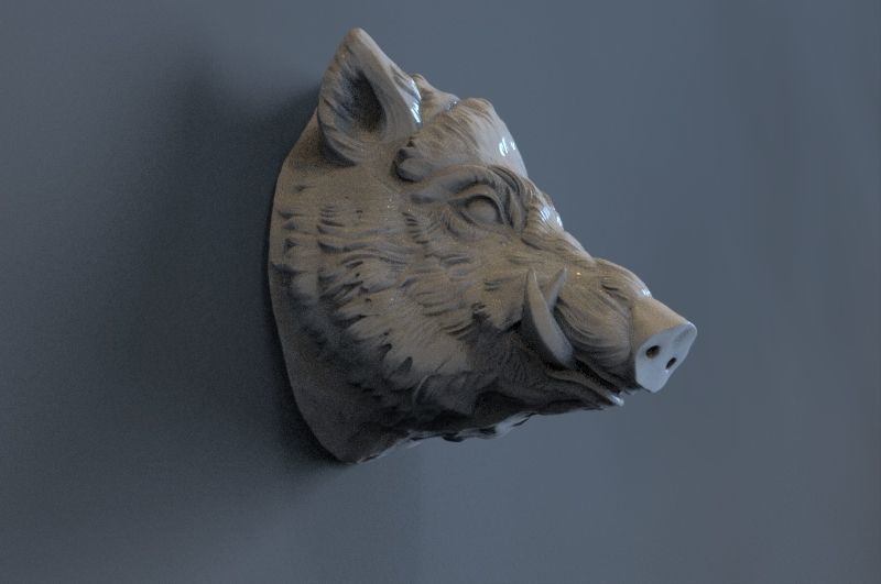 Boar Head 3D print model_1