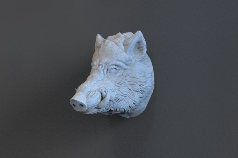 Boar Head 3D print model_10