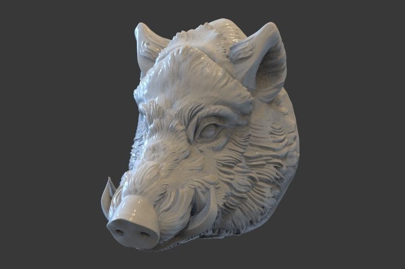 Boar Head 3D print model_8