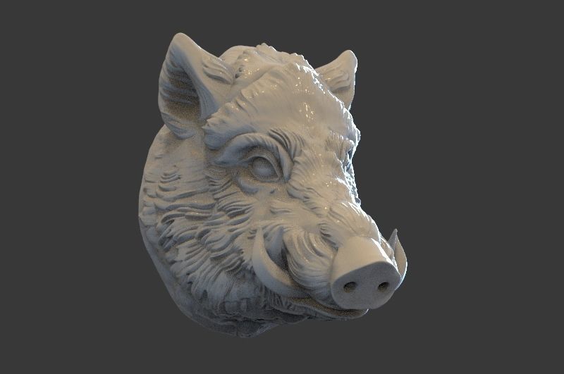 Boar Head 3D print model_3