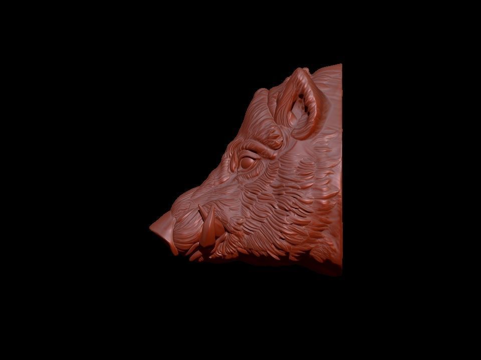 Boar Head 3D print model_5