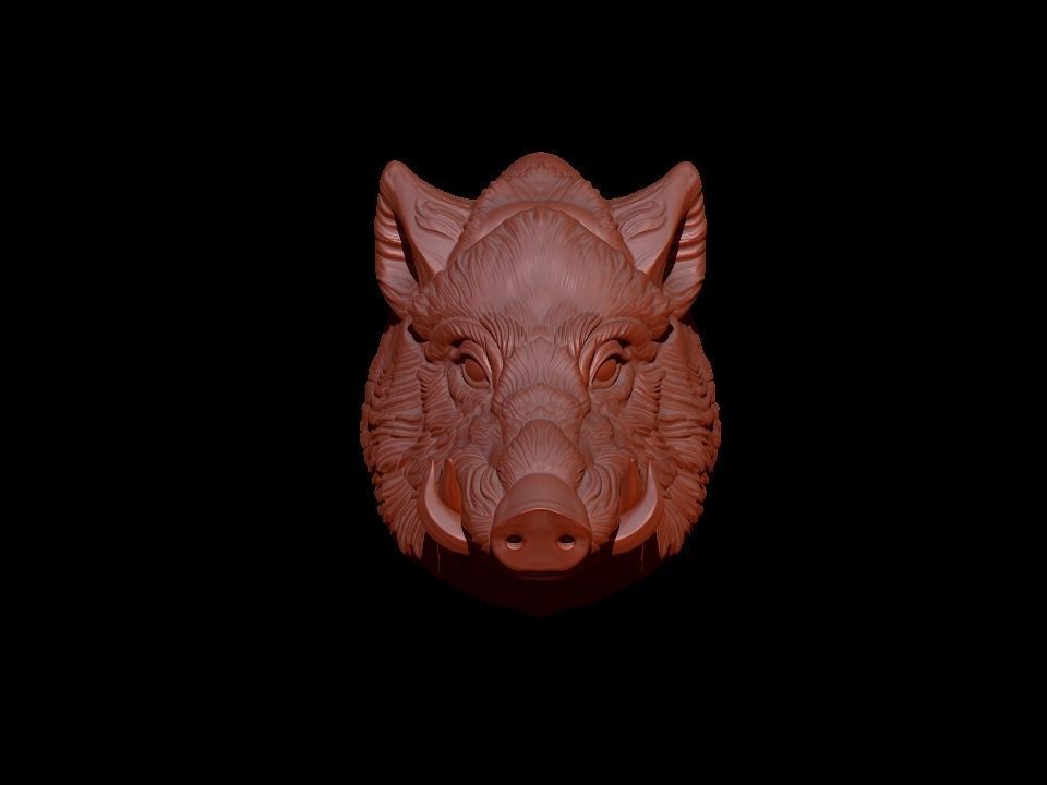Boar Head 3D print model_4