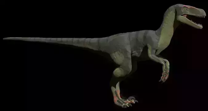 Rigged Deinonychus Low-poly 3D model
