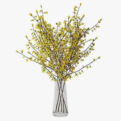 Forsythia 02 3D model