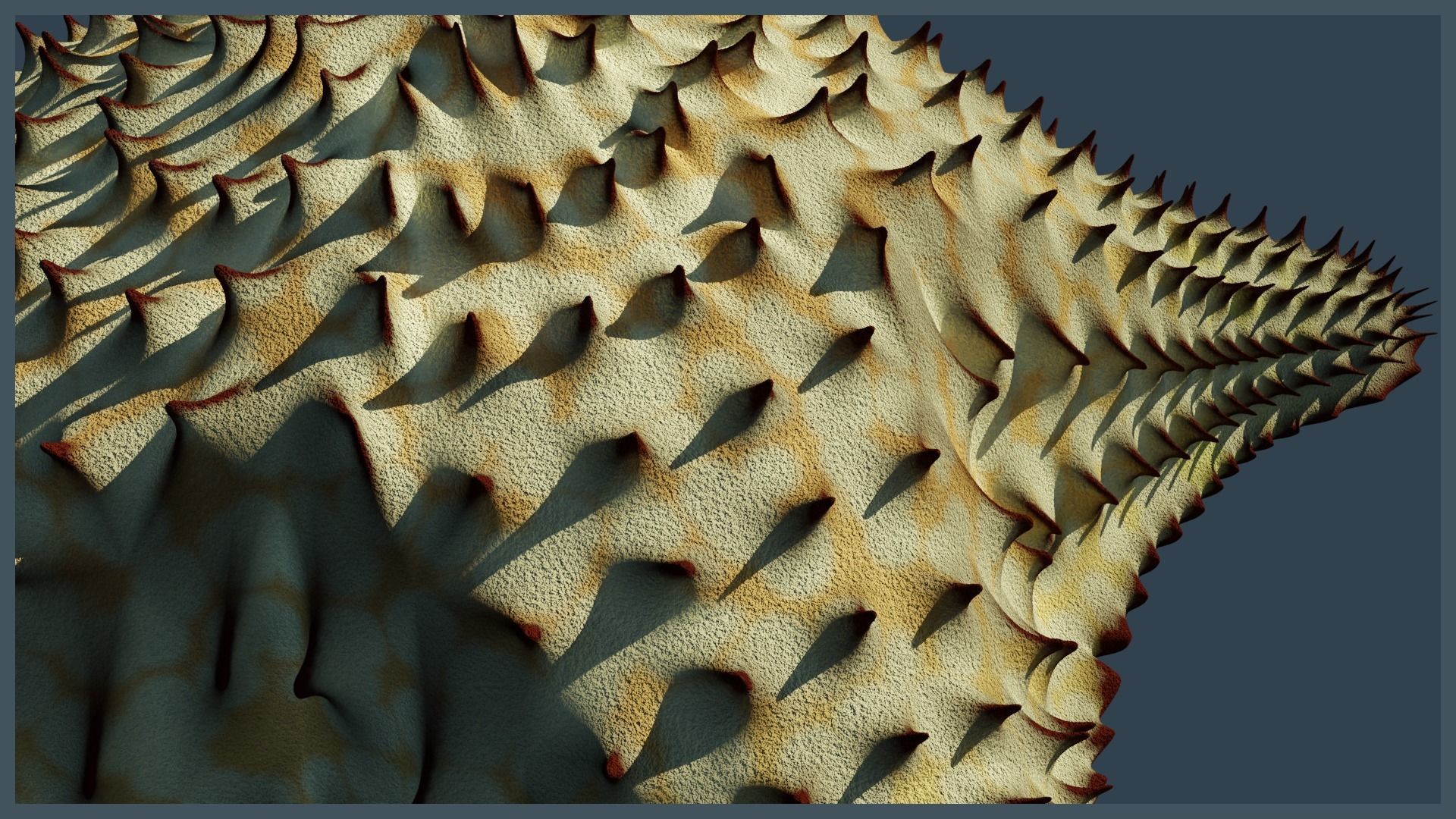 Starfish Variety Pack 2 Low-poly 3D model_14