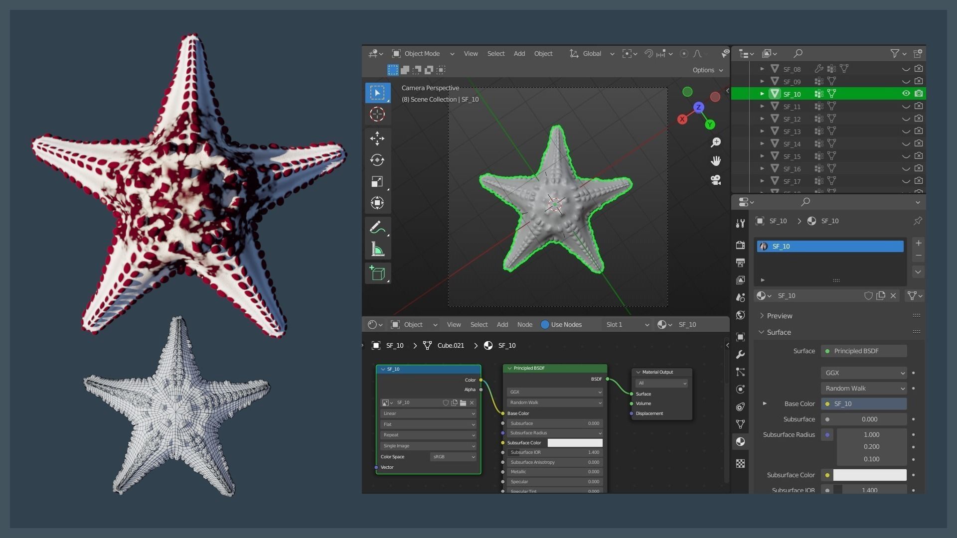 Starfish Variety Pack 2 Low-poly 3D model_6