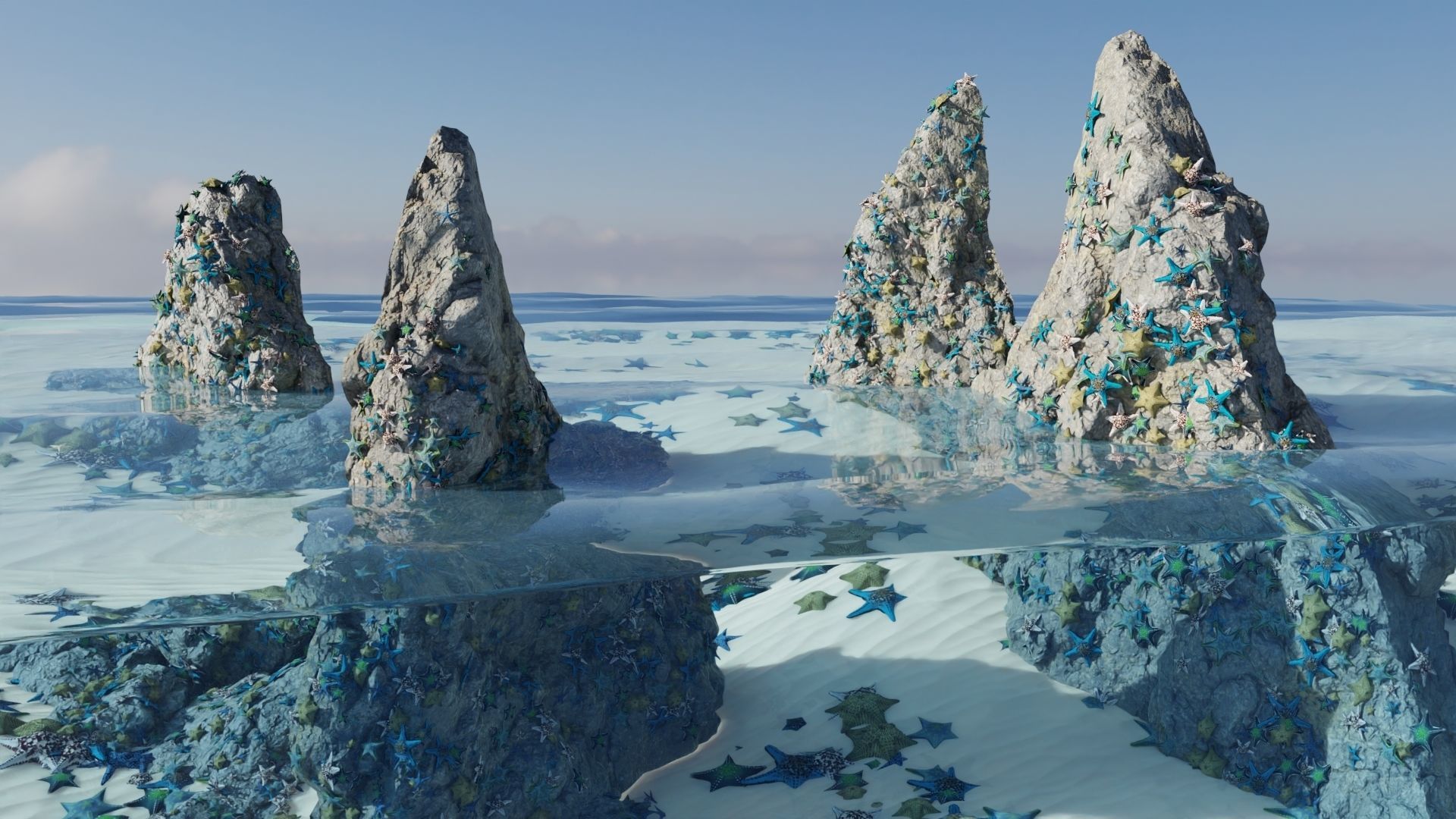 Starfish Variety Pack 2 Low-poly 3D model_1