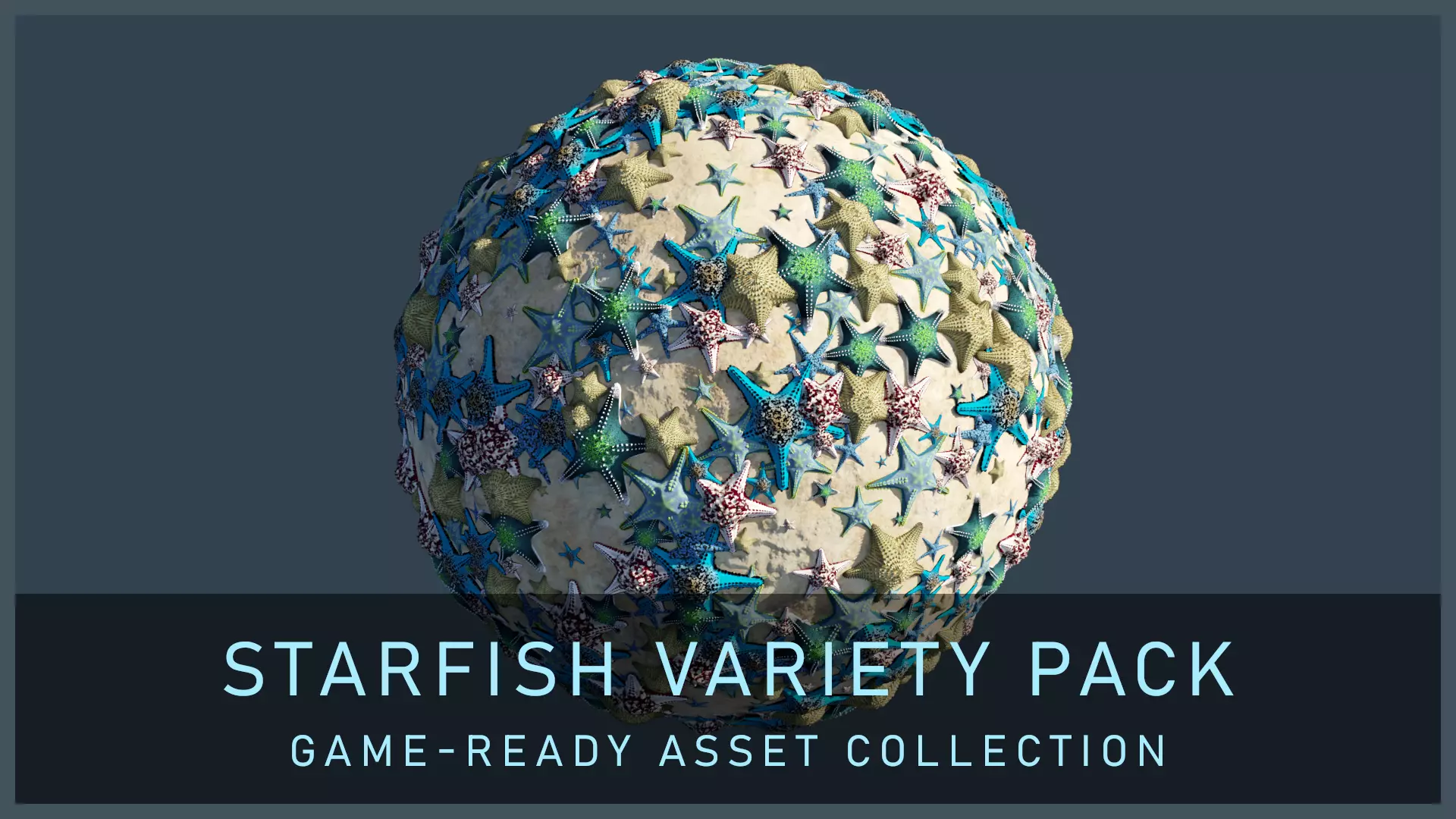 Starfish Variety Pack 2 Low-poly 3D model_0