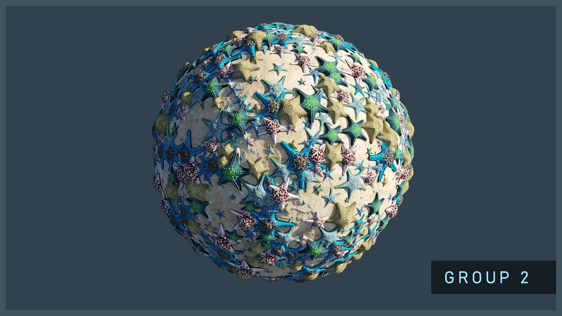 Starfish Variety Pack 2 Low-poly 3D model_3