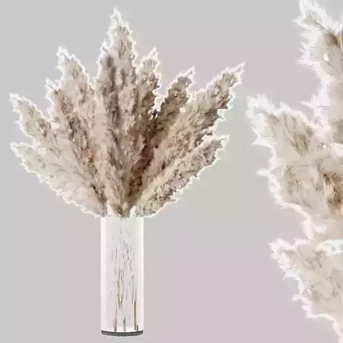 Pampas two grass in vase