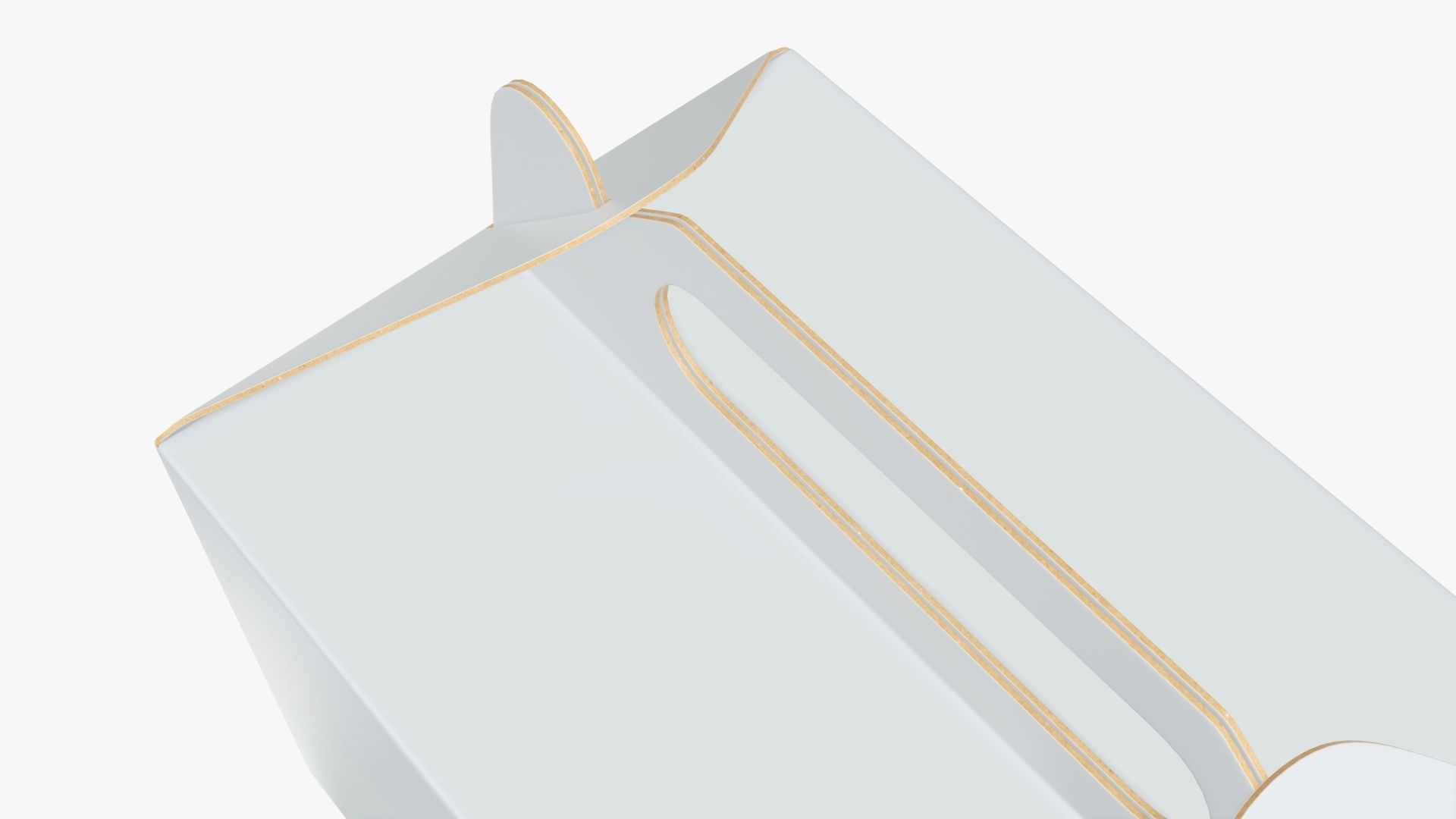 Gable cardboard box 3D model_4