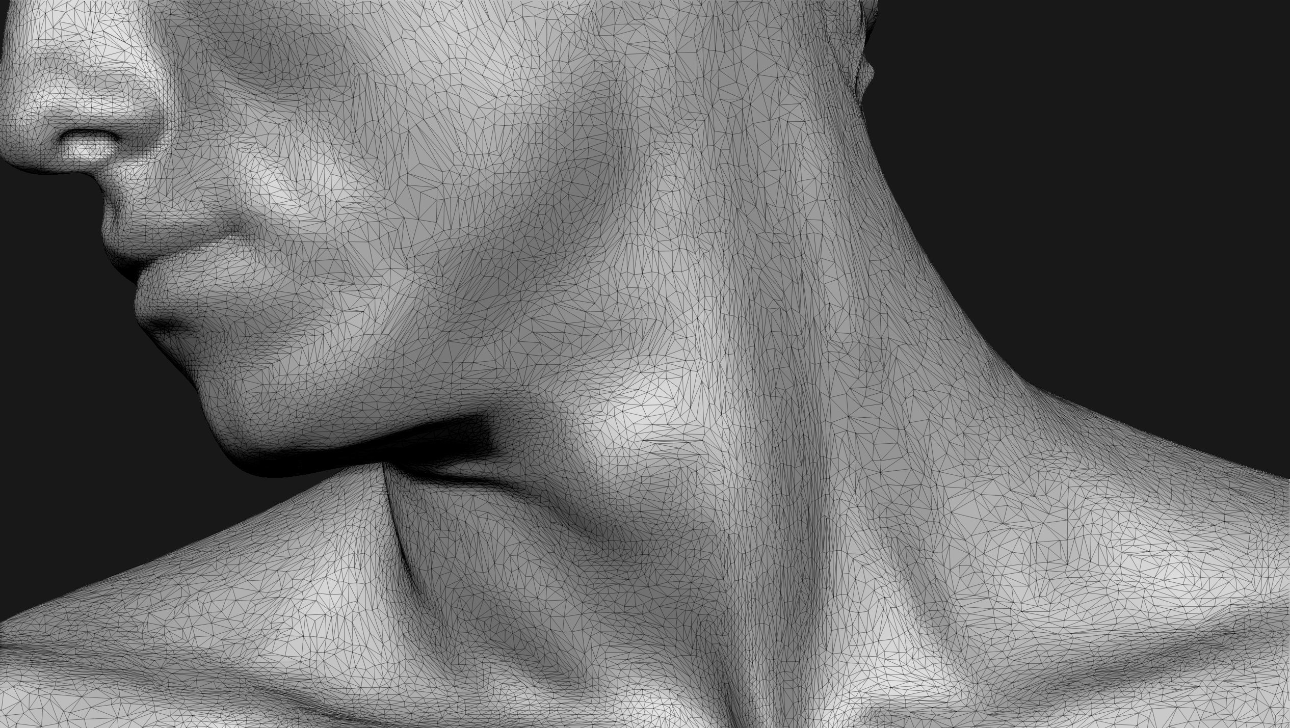 Neck Anatomy Reference Set 3D print model_7