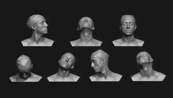 Neck Anatomy Reference Set 3D print model