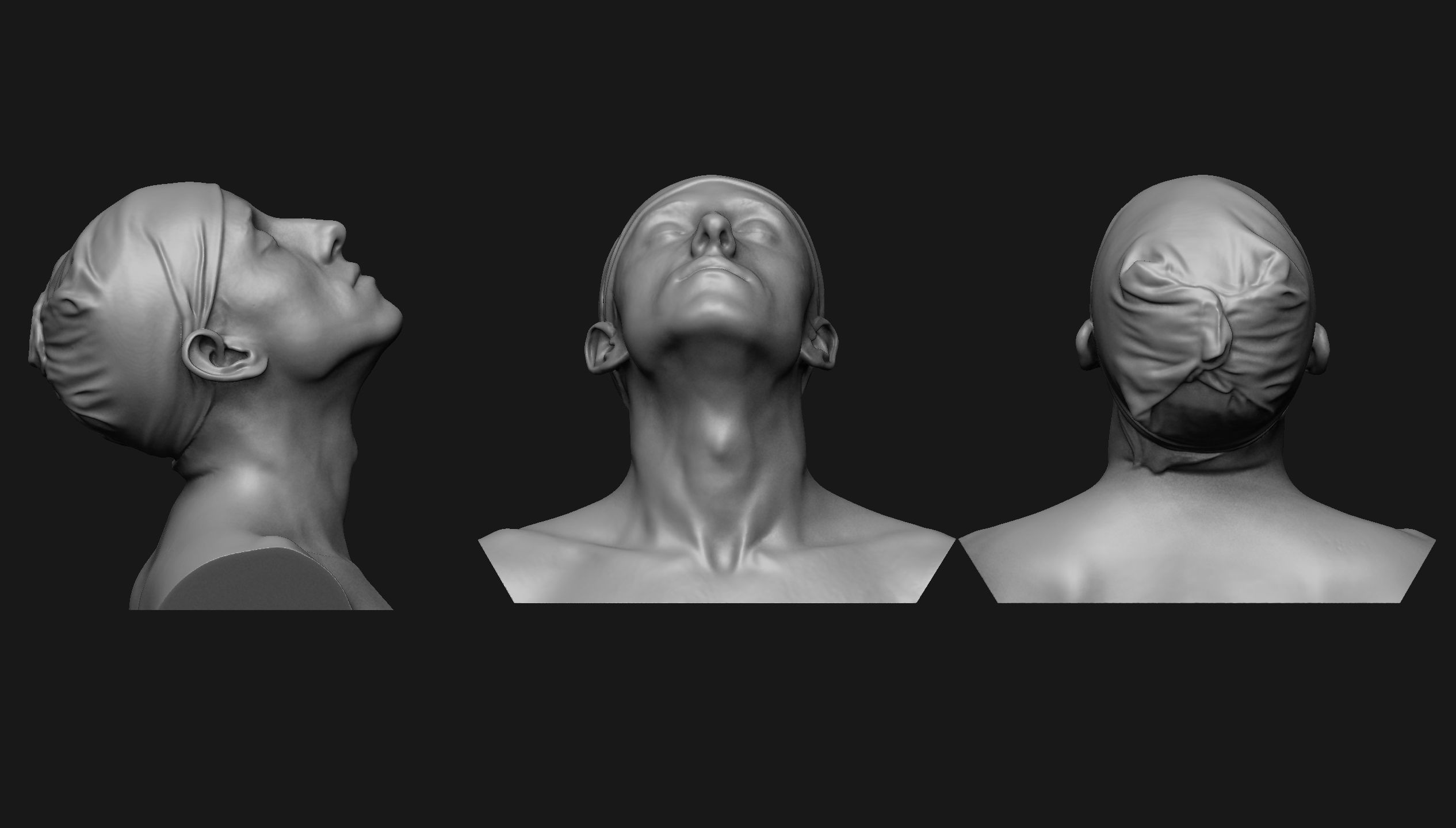 Neck Anatomy Reference Set 3D print model_2
