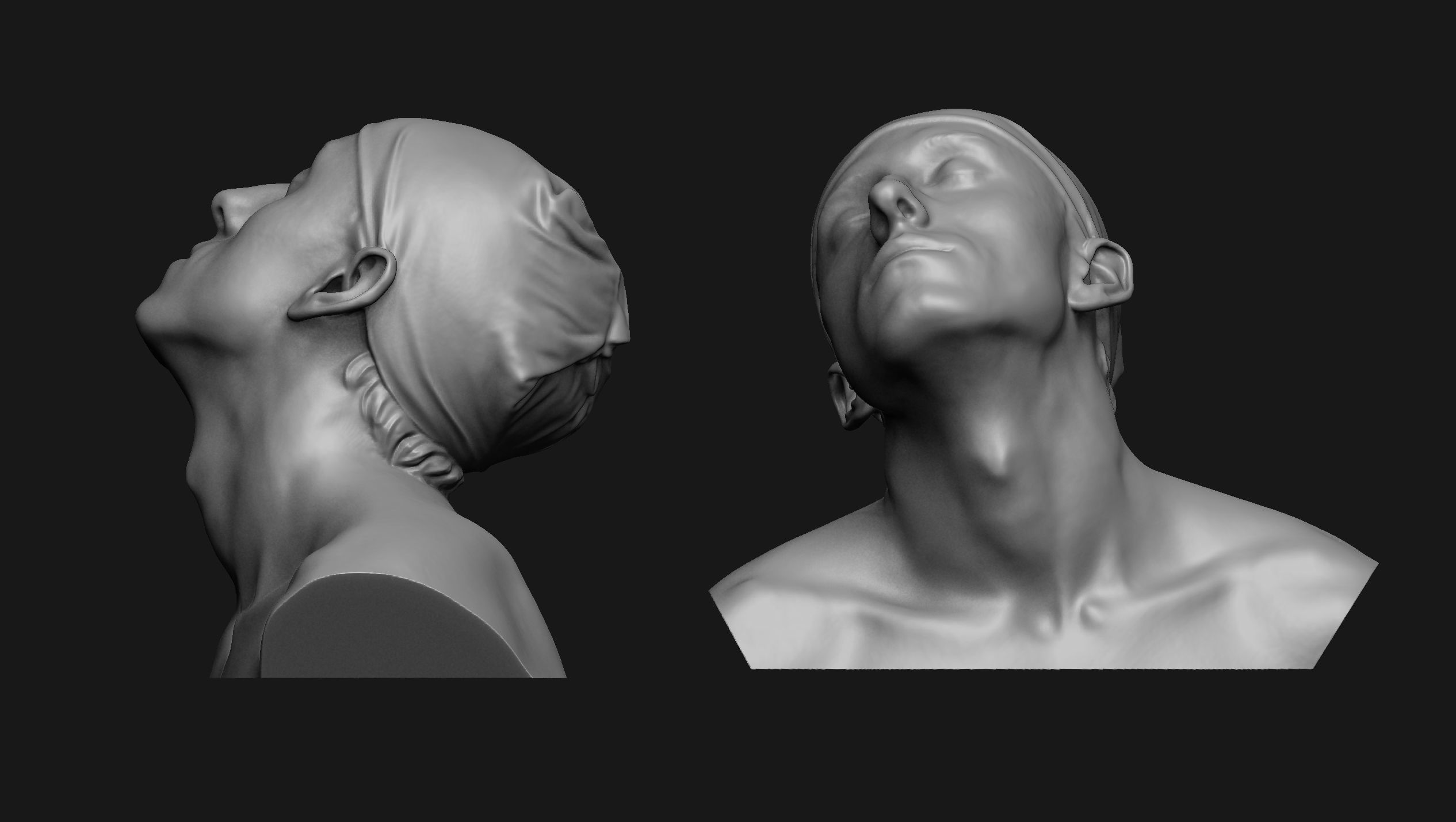 Neck Anatomy Reference Set 3D print model_5