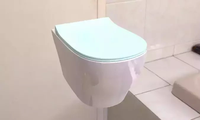 Toilet travel mug