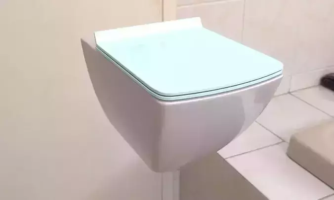 Toilet glass seat