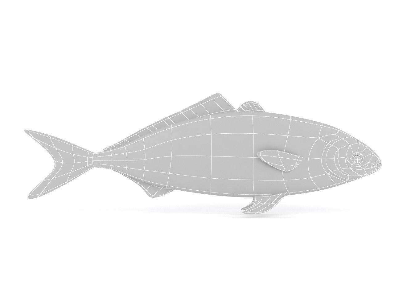 Tuna Fish 3D model_6