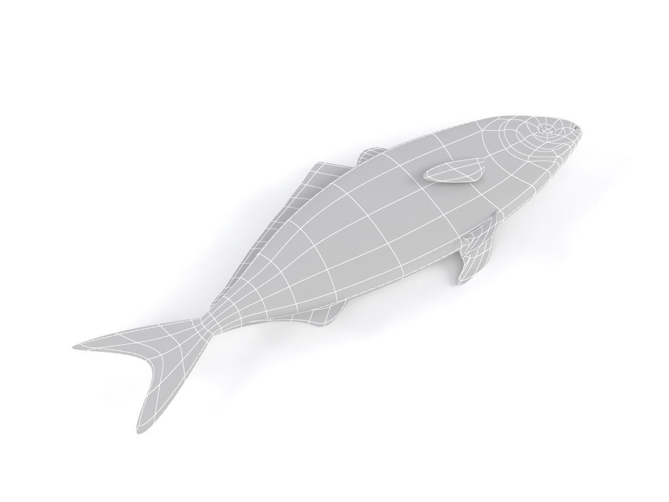 Tuna Fish 3D model_11