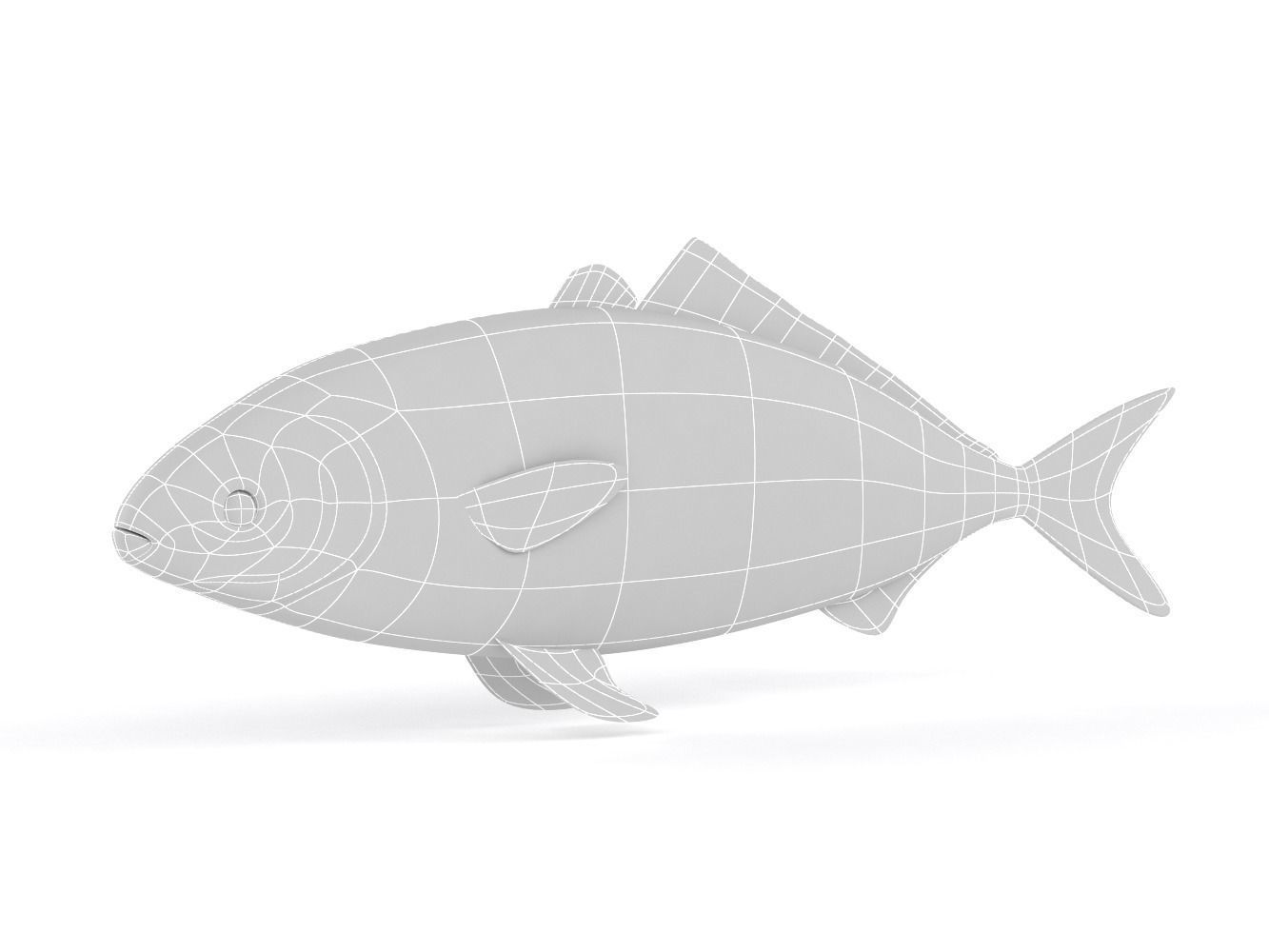 Tuna Fish 3D model_9
