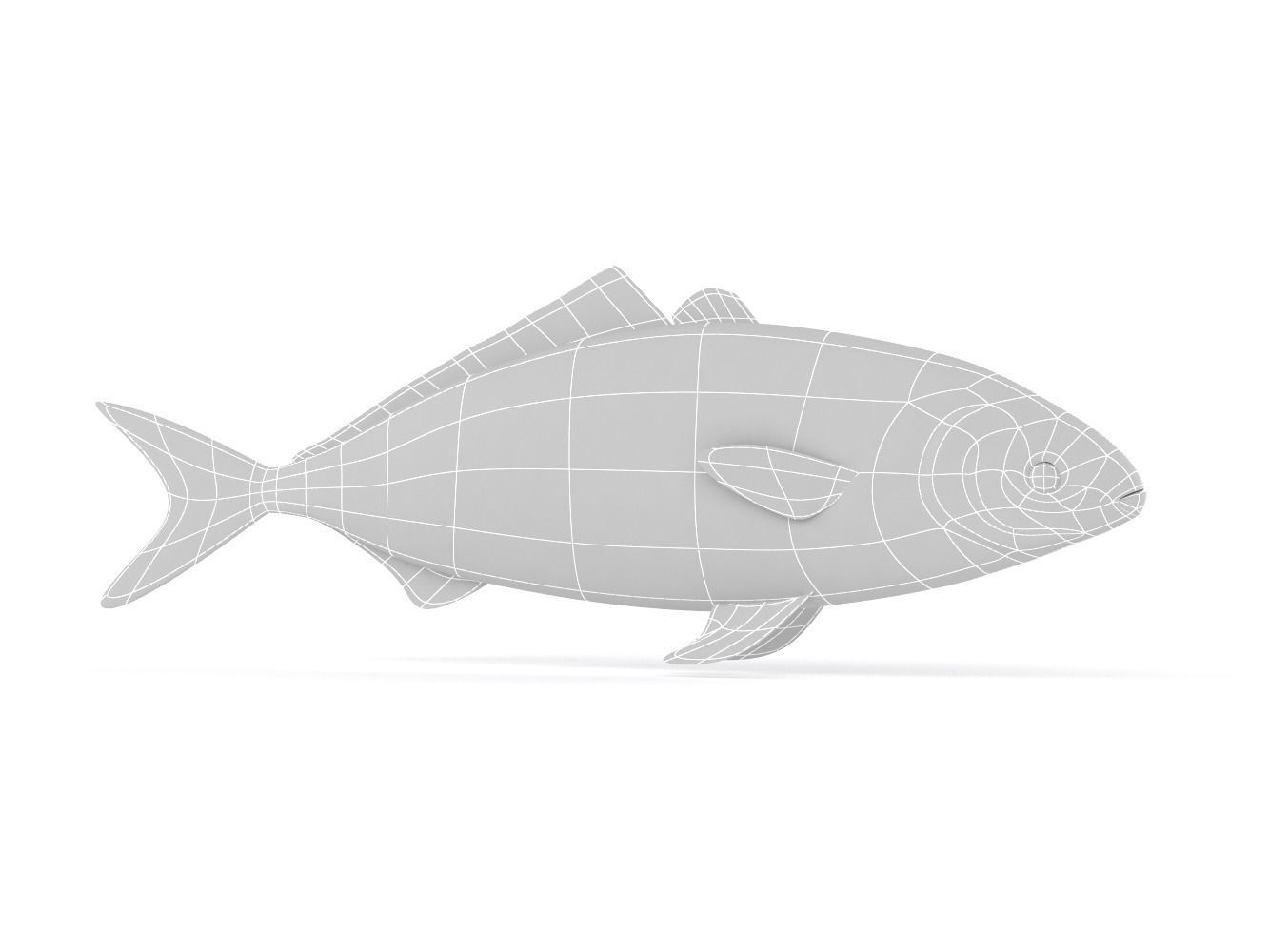 Tuna Fish 3D model_7