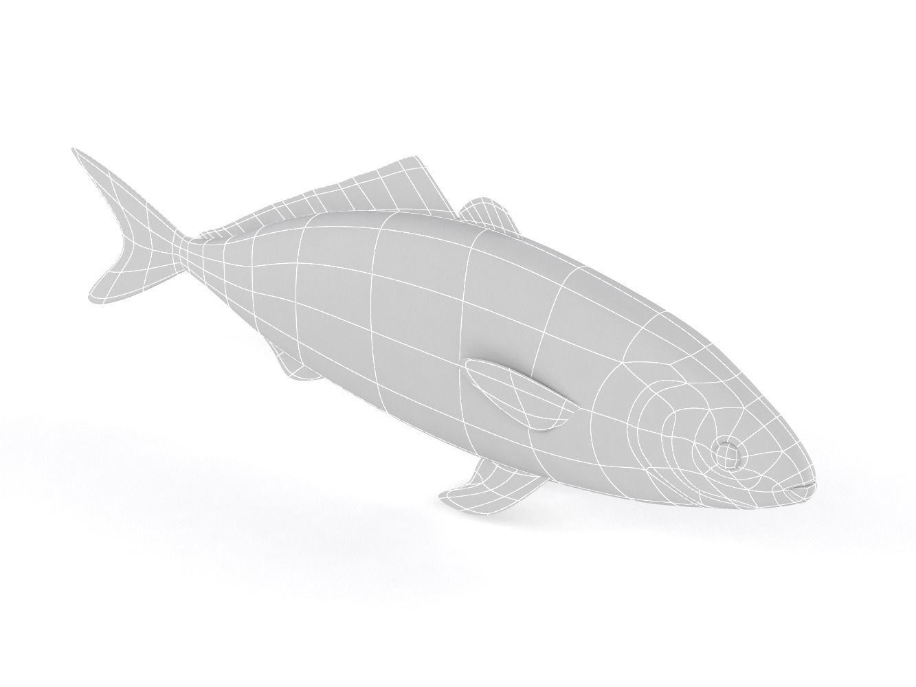 Tuna Fish 3D model_10