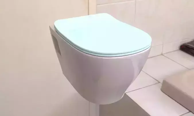 Toilet travel mug