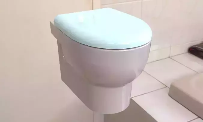 Toilet travel mug