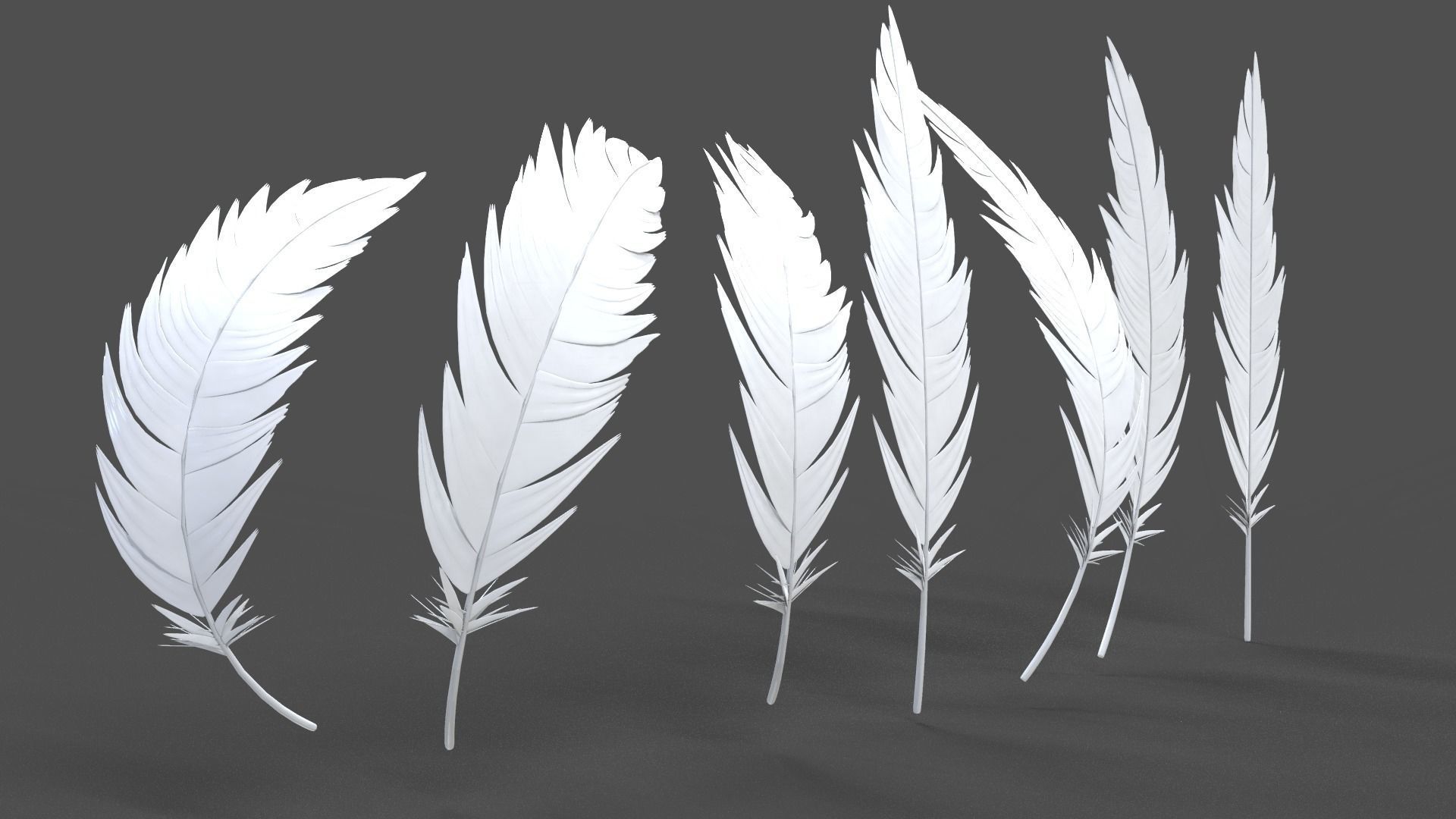 Feathers Set - 7 Assets 3D model_10