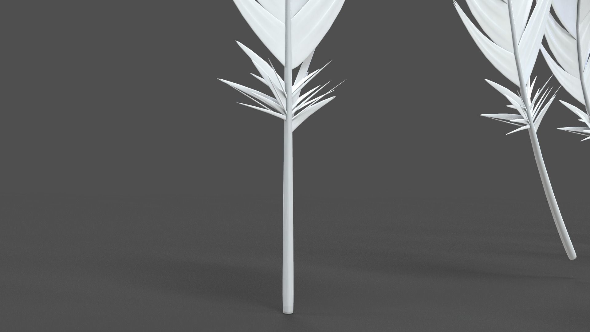 Feathers Set - 7 Assets 3D model_13