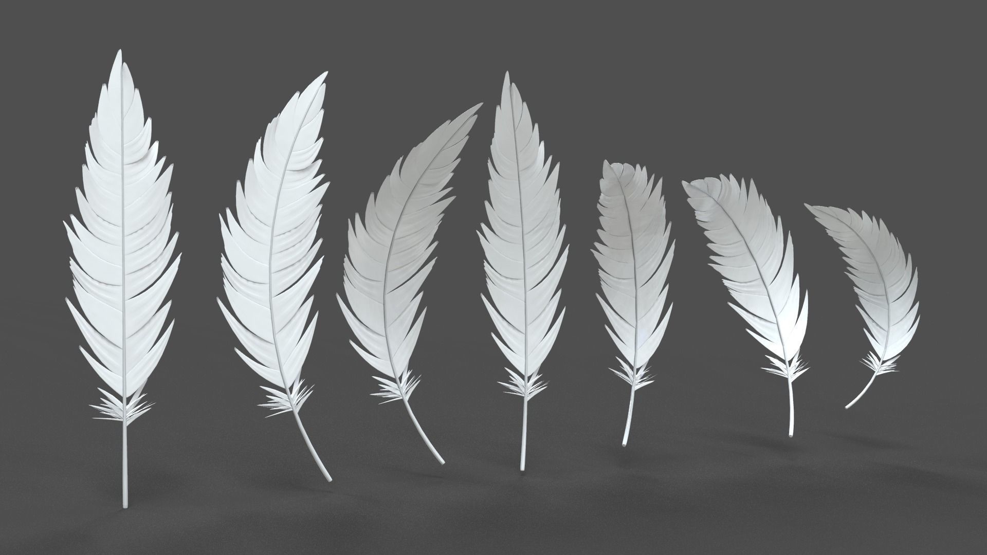 Feathers Set - 7 Assets 3D model_1