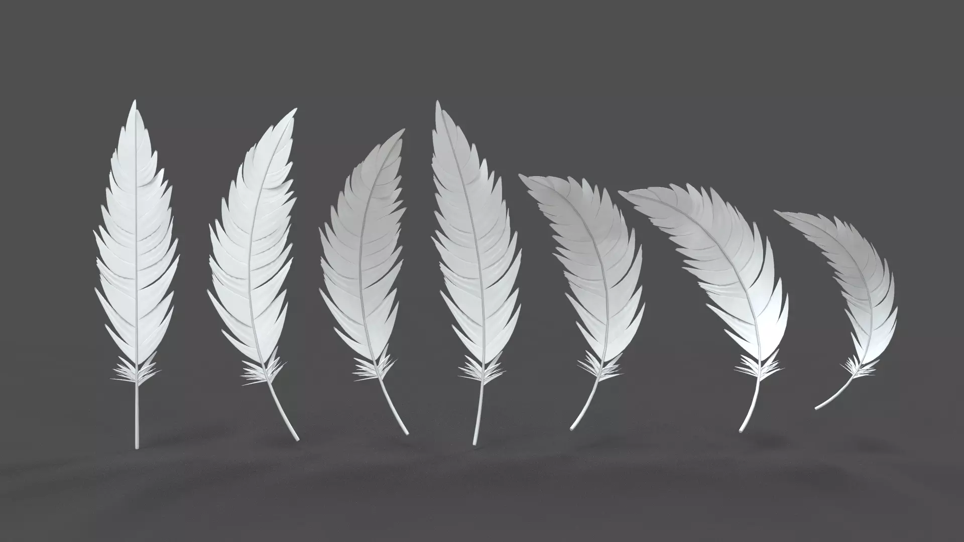 Feathers Set - 7 Assets 3D model_0