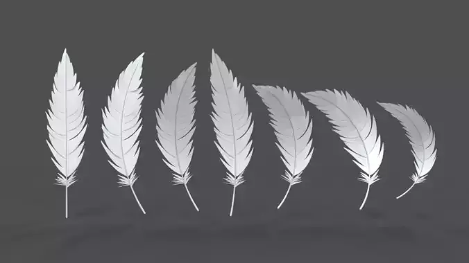 Feathers Set - 7 Assets 3D model
