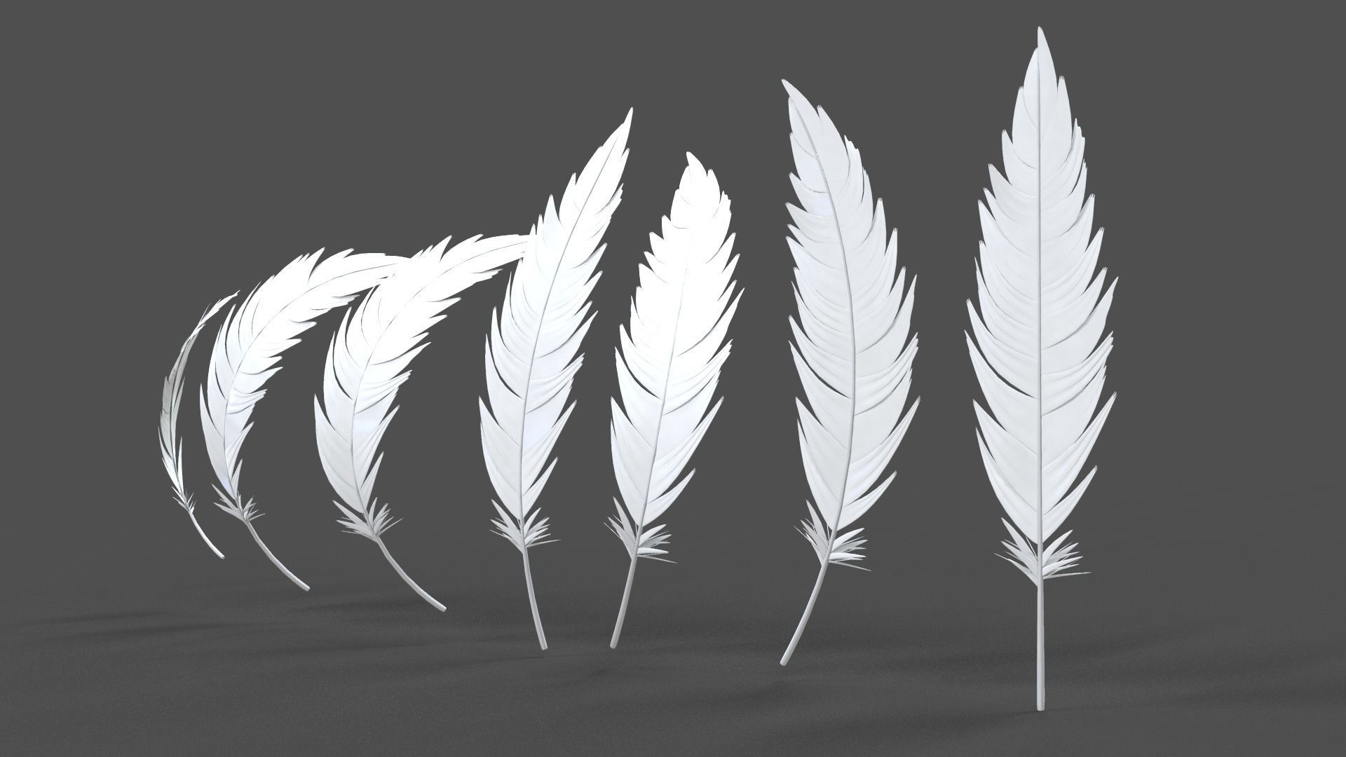 Feathers Set - 7 Assets 3D model_12