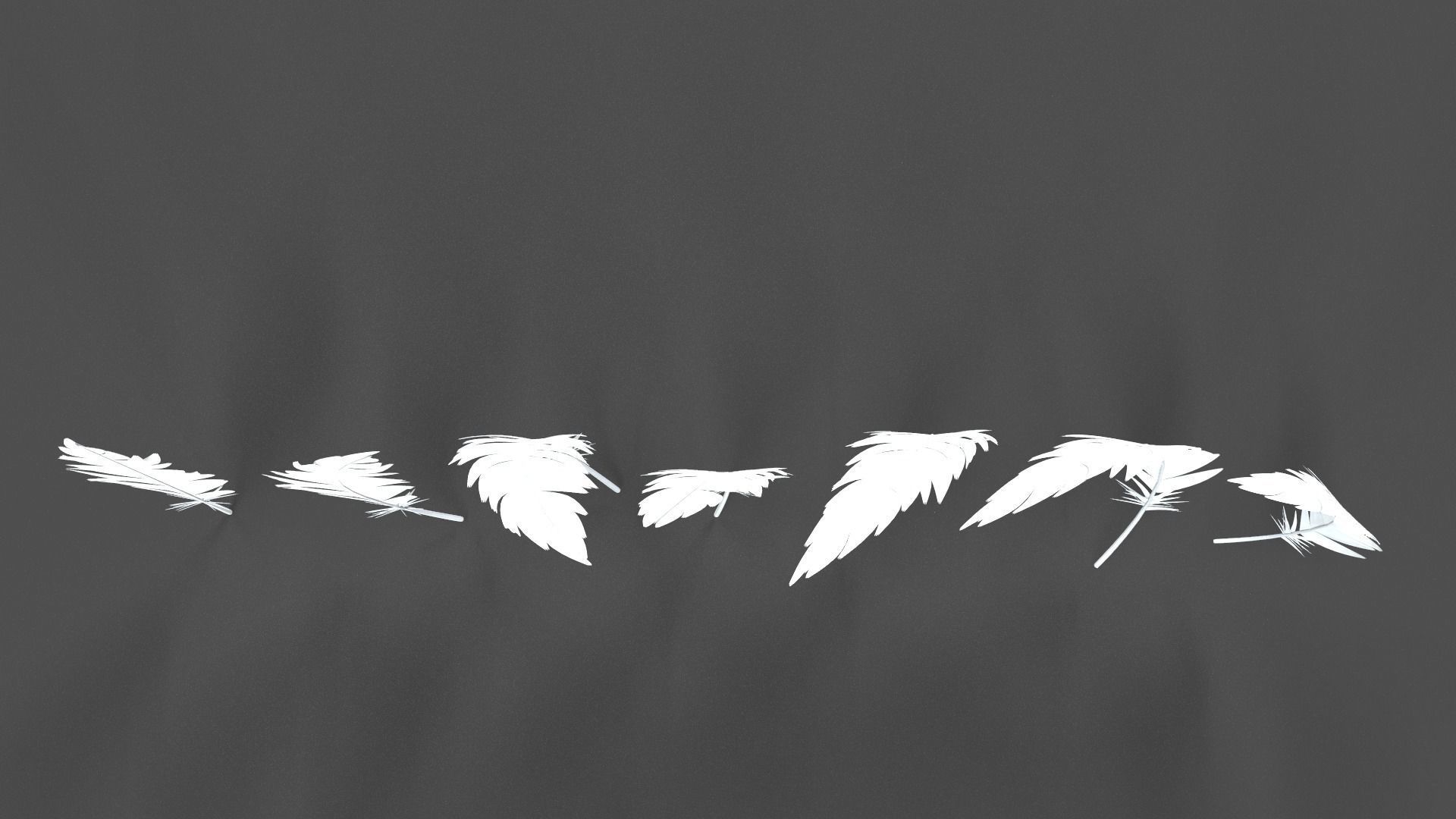 Feathers Set - 7 Assets 3D model_5