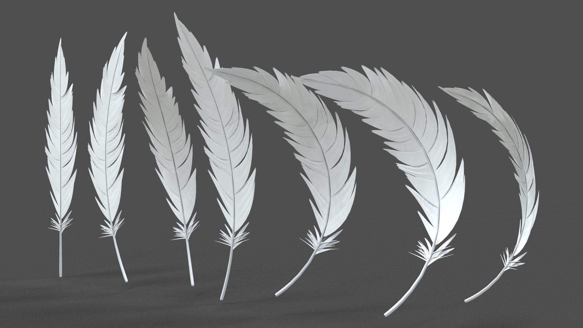 Feathers Set - 7 Assets 3D model_8