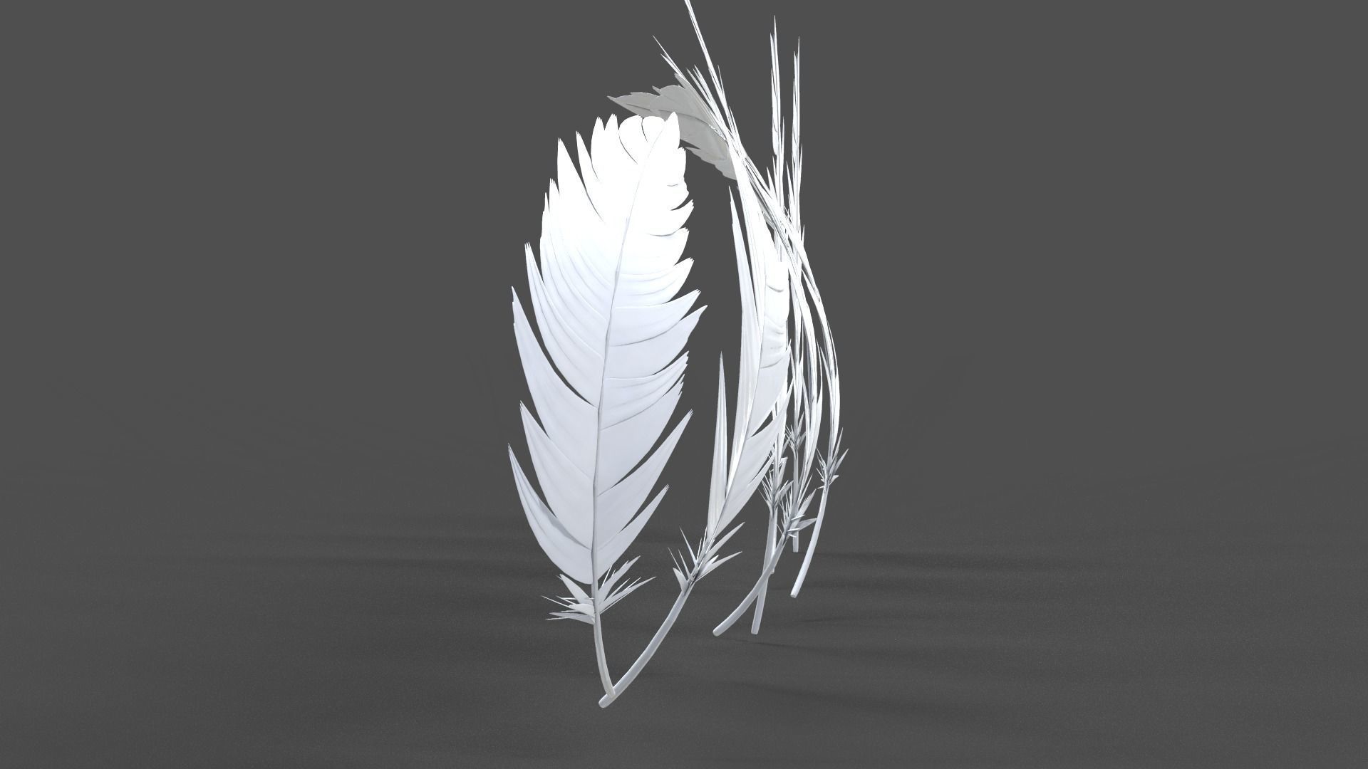 Feathers Set - 7 Assets 3D model_9