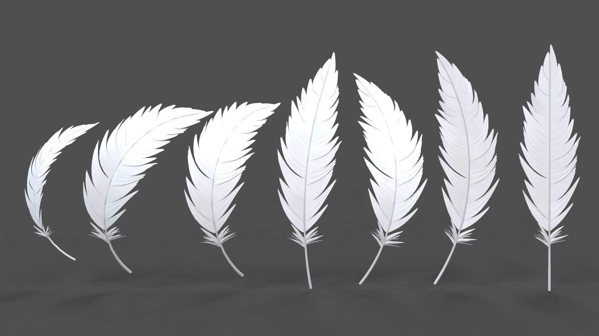 Feathers Set - 7 Assets 3D model_11