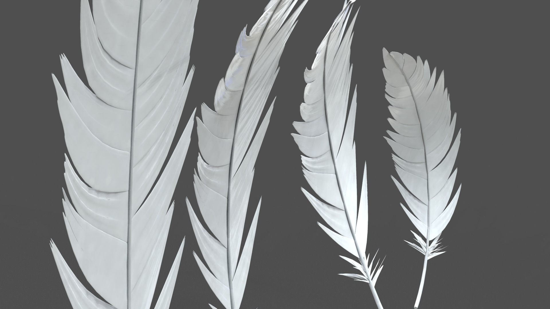 Feathers Set - 7 Assets 3D model_3