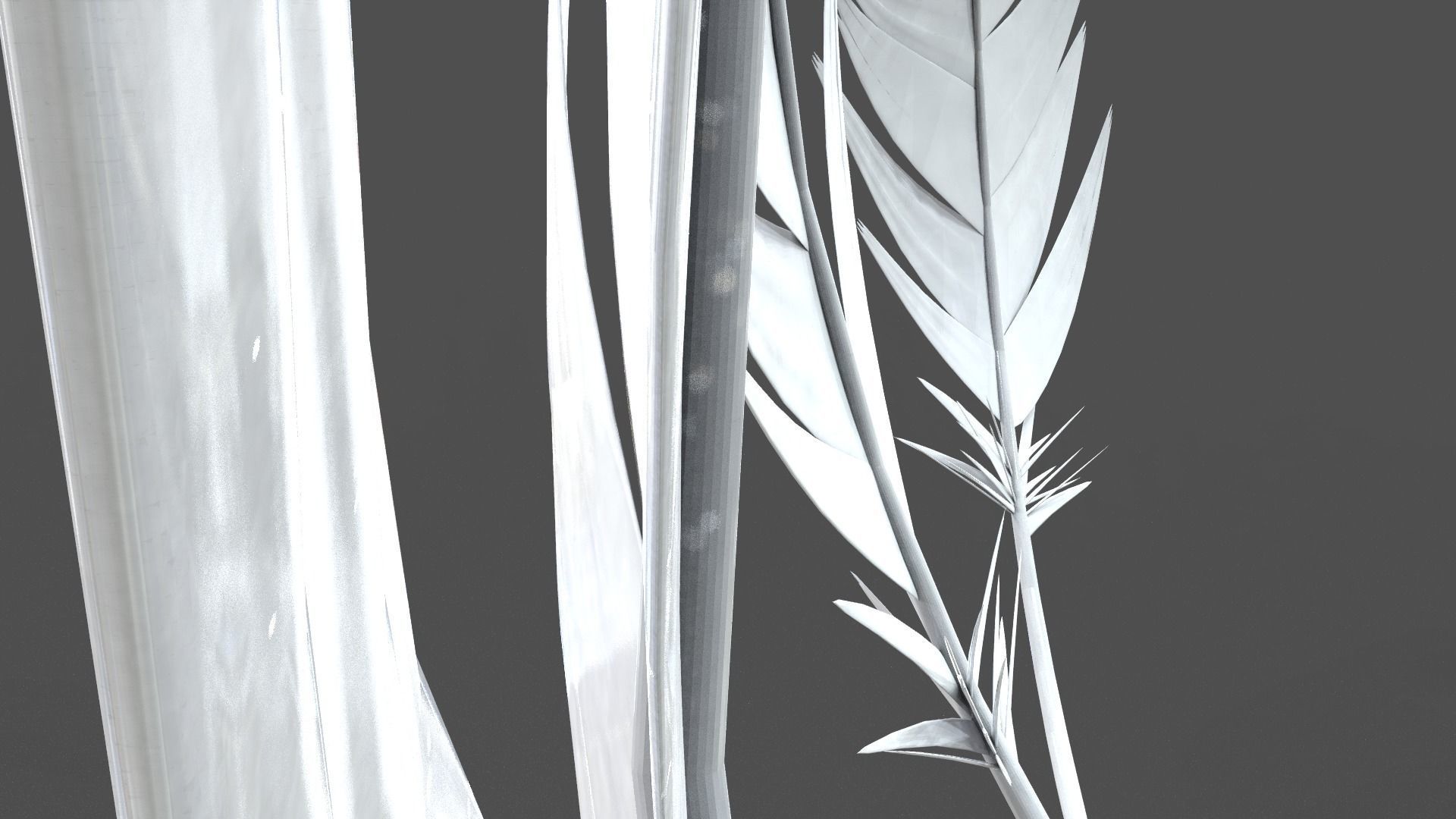 Feathers Set - 7 Assets 3D model_7