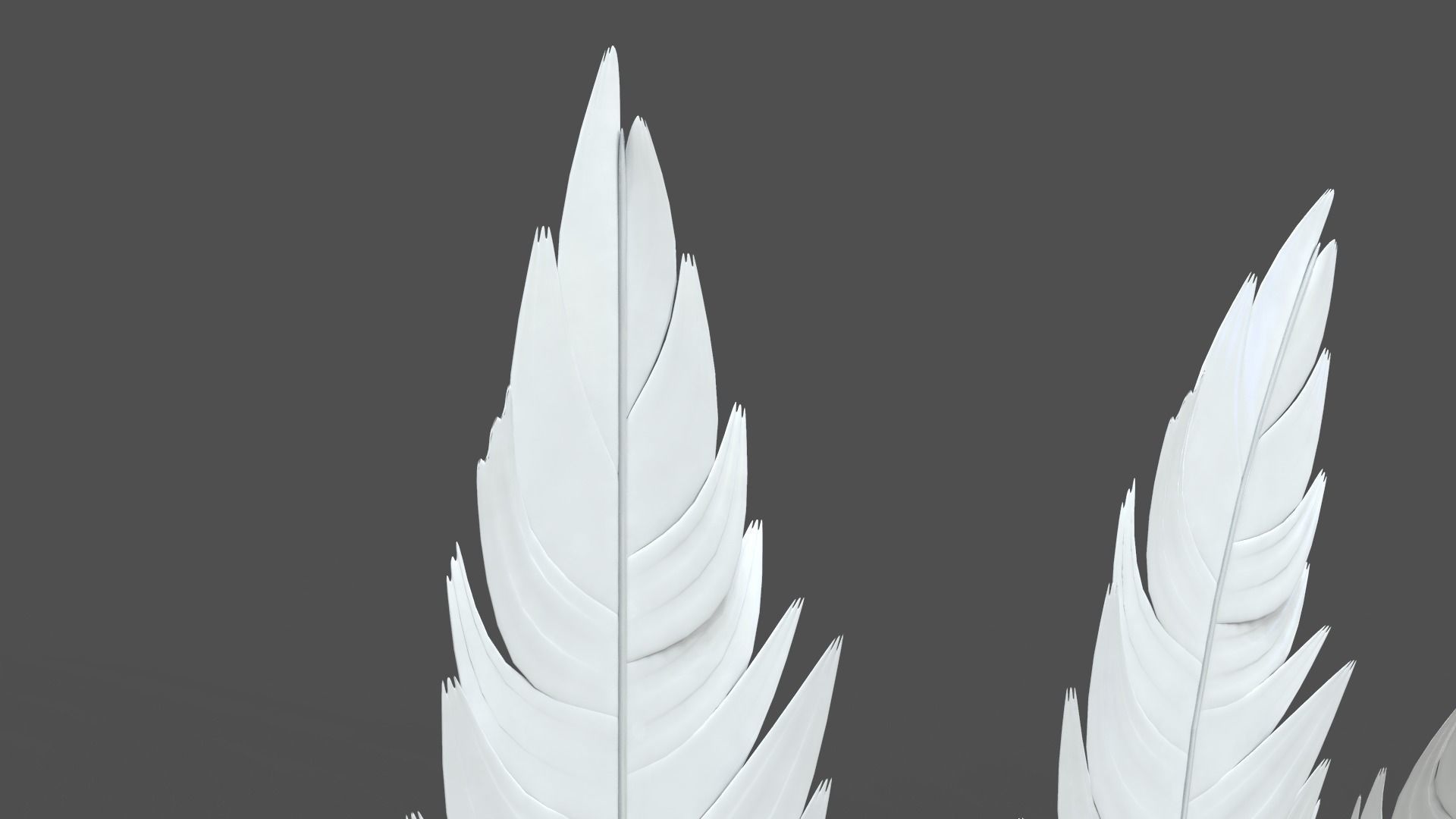 Feathers Set - 7 Assets 3D model_2