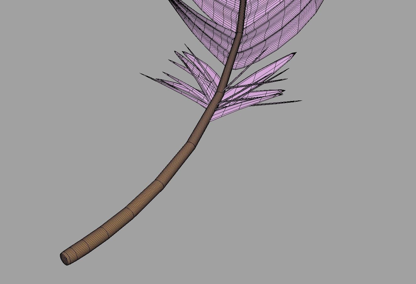 Feathers Set - 7 Assets 3D model_15